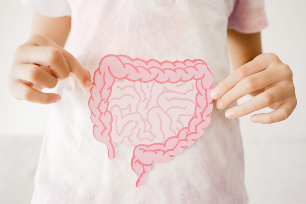 The Gut Microbiome: What You Need to Know from Recent Research